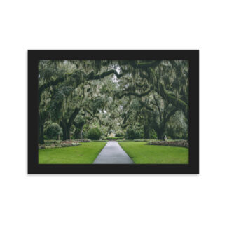Foto con Cornice - Gardens in South Carolina