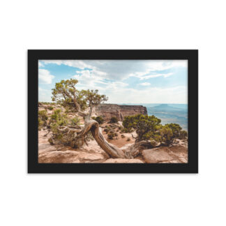 Foto con Cornice - Juniper - Dead Horse State Park