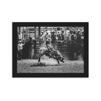 Foto con Cornice - Cowboy Rodeo B/W
