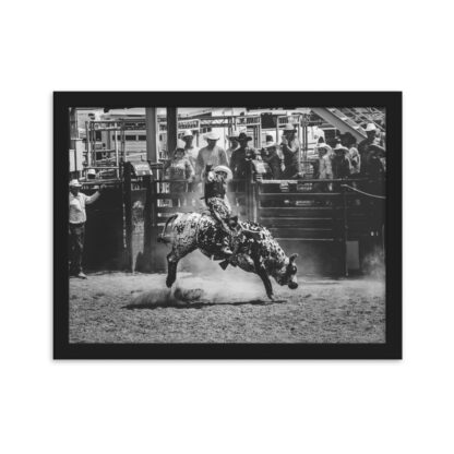 Foto con Cornice - Cowboy Rodeo B/W - immagine 2