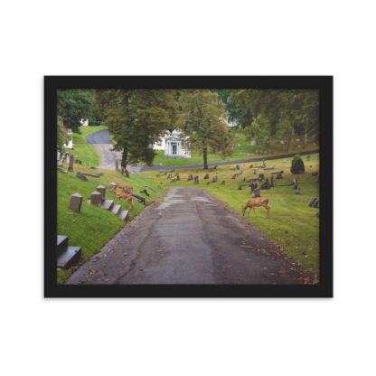 Foto con Cornice - Deers - immagine 2