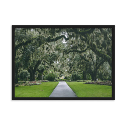 Foto con Cornice - Gardens in South Carolina - immagine 3