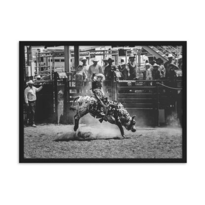 Foto con Cornice - Cowboy Rodeo B/W - immagine 3