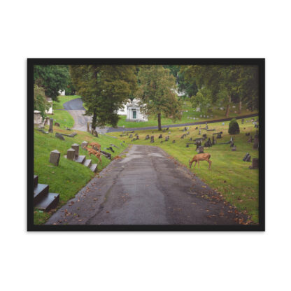 Foto con Cornice - Deers - immagine 3