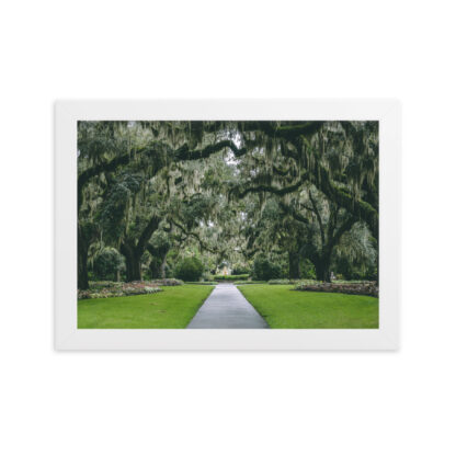 Foto con Cornice - Gardens in South Carolina - immagine 4