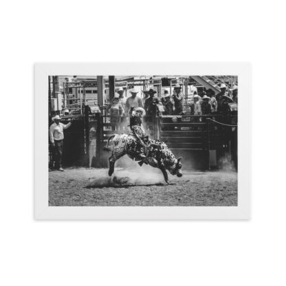 Foto con Cornice - Cowboy Rodeo B/W - immagine 4