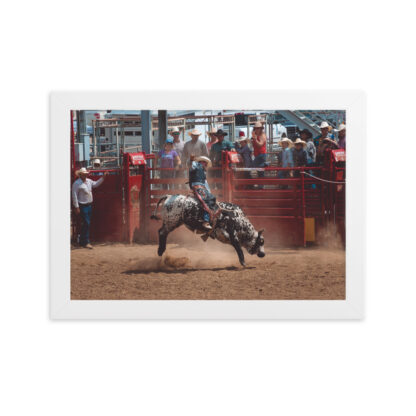 Foto con Cornice - Cowboy Rodeo - Color - immagine 4
