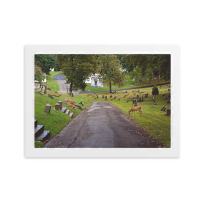 Foto con Cornice - Deers - immagine 4