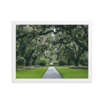 Foto con Cornice - Gardens in South Carolina - immagine 5