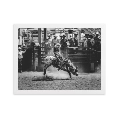Foto con Cornice - Cowboy Rodeo B/W - immagine 5