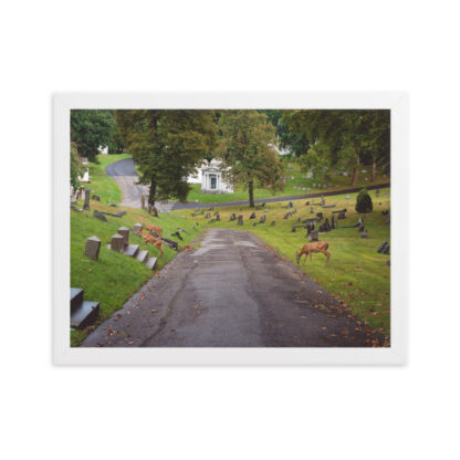 Foto con Cornice - Deers - immagine 5