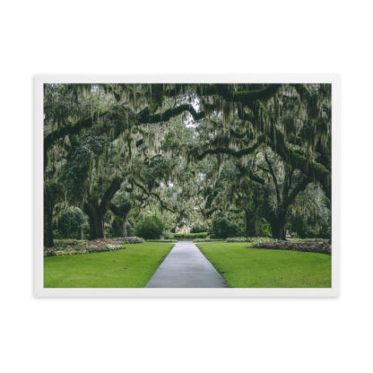 Foto con Cornice - Gardens in South Carolina - immagine 6