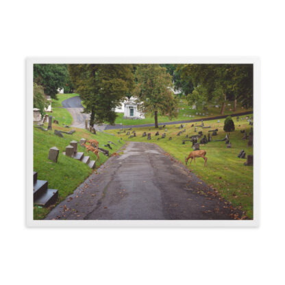 Foto con Cornice - Deers - immagine 6