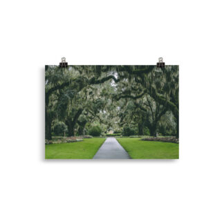Foto Gardens in South Carolina (cm)