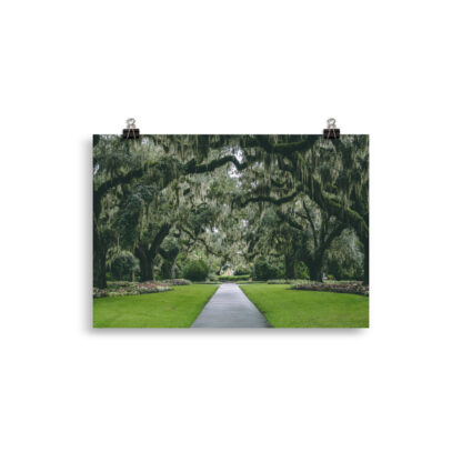 Foto Gardens in South Carolina (cm)