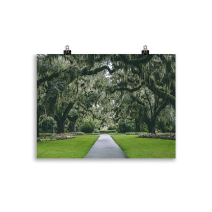 Foto Gardens in South Carolina (cm) - immagine 2