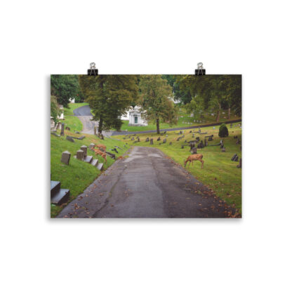 Foto - Deers (cm) - immagine 2