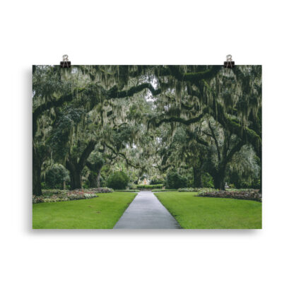 Foto Gardens in South Carolina (cm) - immagine 3