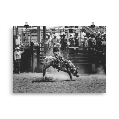 Foto Cowboy Rodeo - B/W (cm) - immagine 3