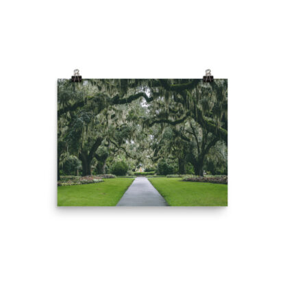 Foto Semi Glossy – Gardens in South Carolina (in) - immagine 2