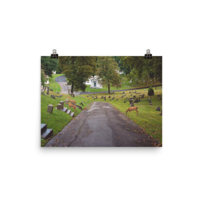 Foto Semi Glossy – Deers (in) - immagine 2