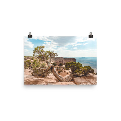Foto Semi Glossy - Juniper - Dead Horse State Park (in) - immagine 3
