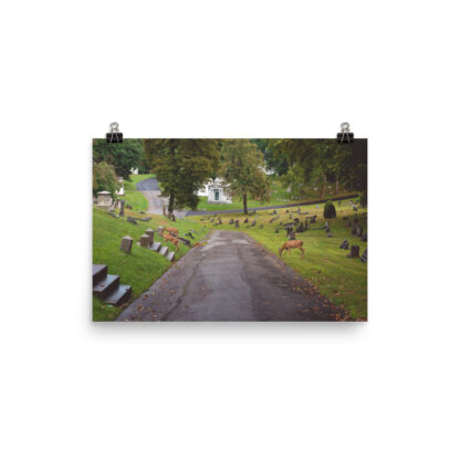 Foto Semi Glossy – Deers (in) - immagine 3