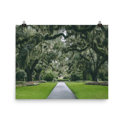 Foto Semi Glossy – Gardens in South Carolina (in) - immagine 4
