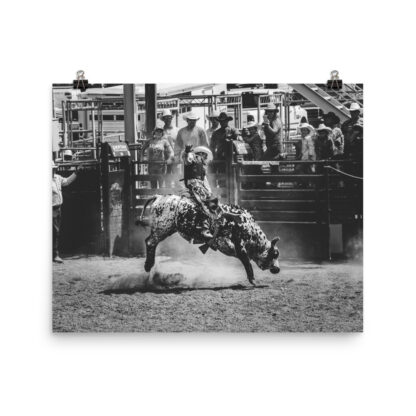 Foto Semi Glossy – Cowboy Rodeo - B/W (in) - immagine 4