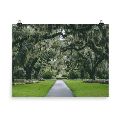 Foto Semi Glossy – Gardens in South Carolina (in) - immagine 5