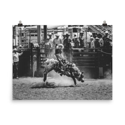 Foto Semi Glossy – Cowboy Rodeo - B/W (in) - immagine 5