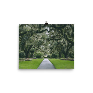 Foto Semi Glossy – Gardens in South Carolina (in)