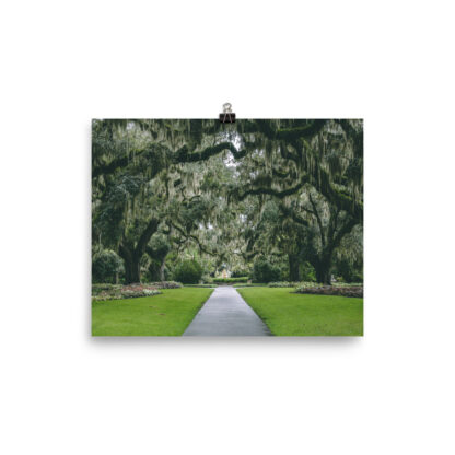 Foto Semi Glossy – Gardens in South Carolina (in)
