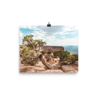 Foto Semi Glossy - Juniper - Dead Horse State Park (in)