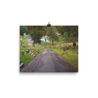 Foto Semi Glossy – Deers (in)